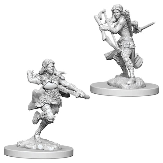 Nolzur’s: Air Genasi Rogue (Female)