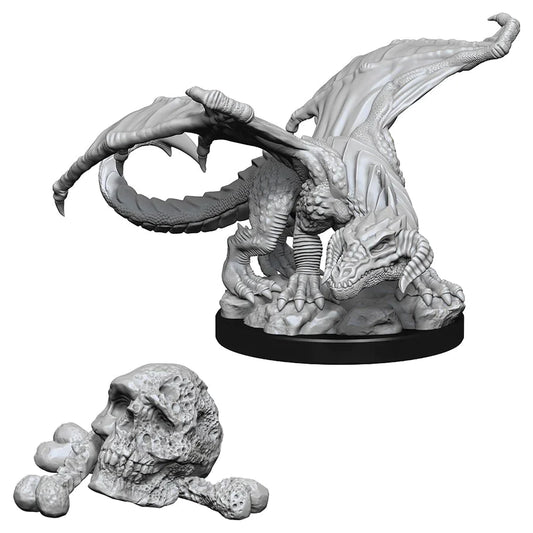 Nolzur’s: Black Dragon Wyrmling