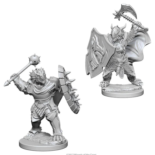 Nolzur’s: Dragonborn Paladin (Male)