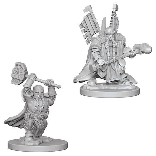 Nolzur’s: Dwarf Paladin (Male)
