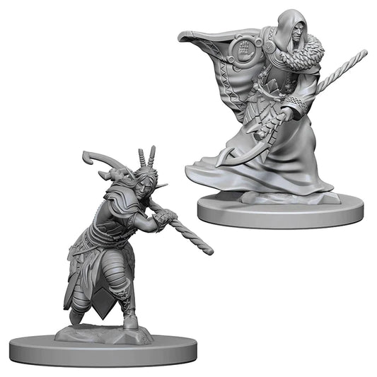 Nolzur’s: Elf Druid (Male)