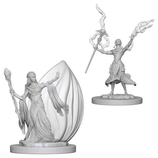 Nolzur’s: Elf Wizard (Female)