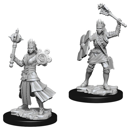 Nolzur’s: Human Cleric (Female)