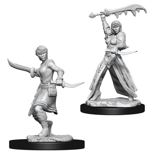 Nolzur’s: Human Rogue (Female)