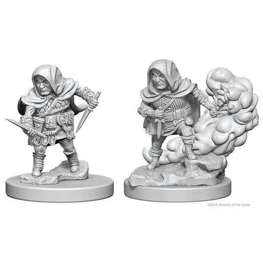 Nolzur’s: Halfling Rogue (Male)