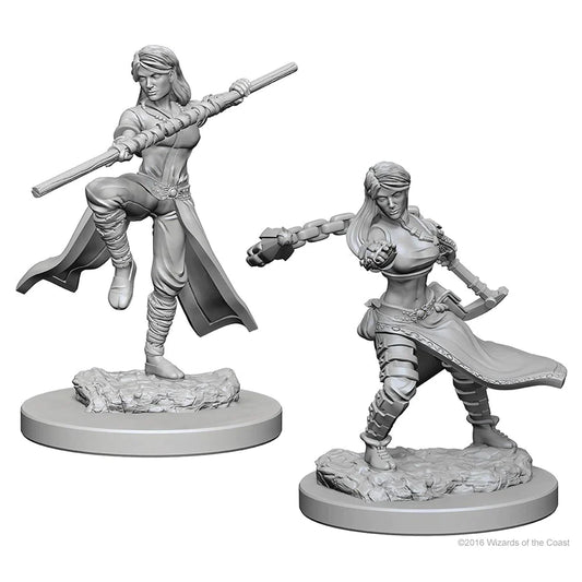 Nolzur’s: Human Monk (Female)