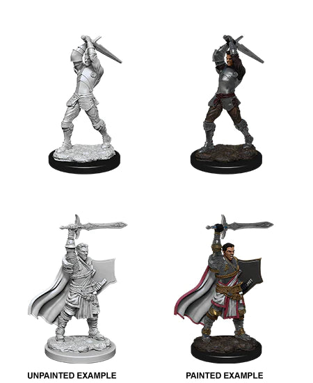Nolzur's: Human Paladin (Male)