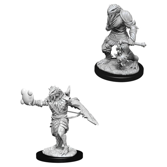 Nolzur’s: Dragonborn Paladin (Male)