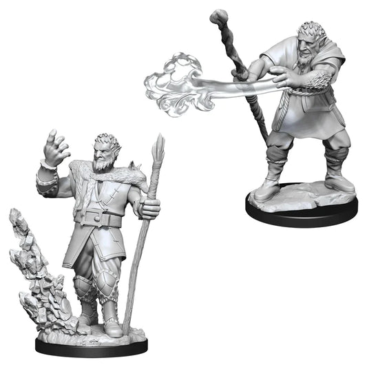 Nolzur’s: Firbolg Druid (Male)