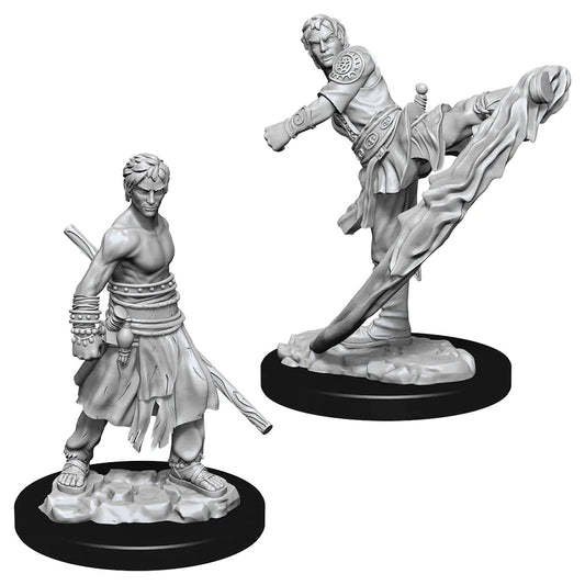 Nolzur’s: Half-Elf Monk (Male)