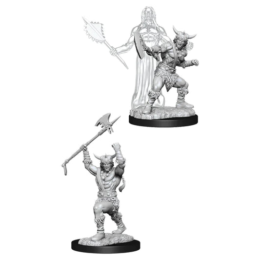 Nolzur’s: Human Barbarian (Male)