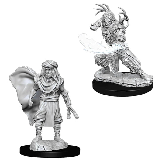 Nolzur’s: Human Druid (Male)