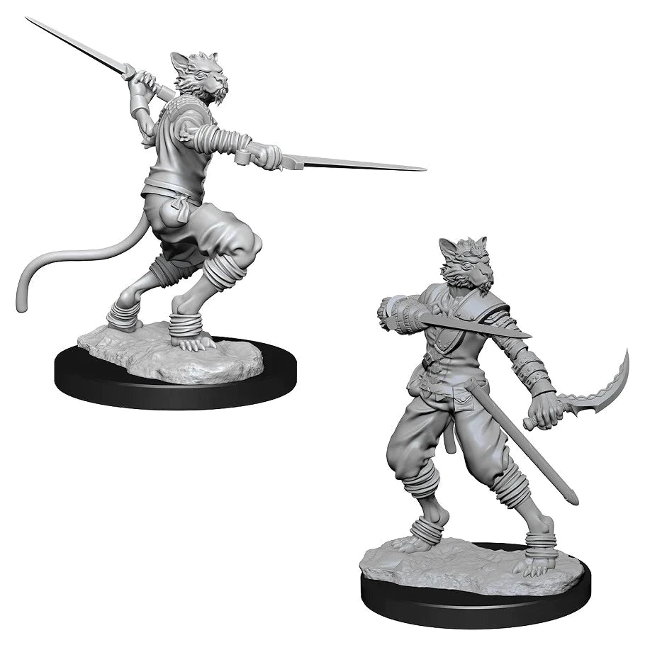Nolzur’s: Tabaxi Rogue (Male)