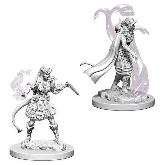Nolzur’s: Tiefling Female Sorcerer