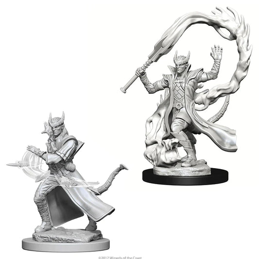 Nolzur’s: Tiefling Male Sorcerer