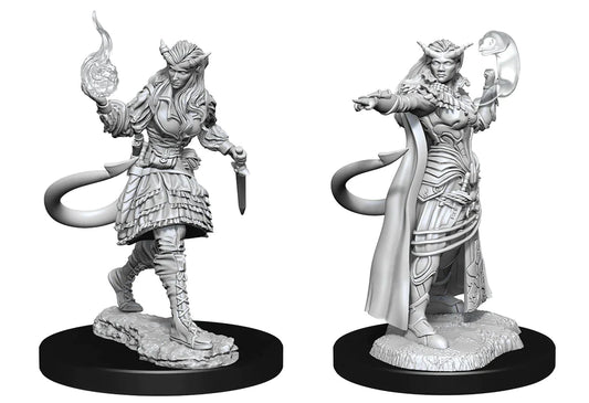 Nolzur's: Tiefling Sorcerer (Female)