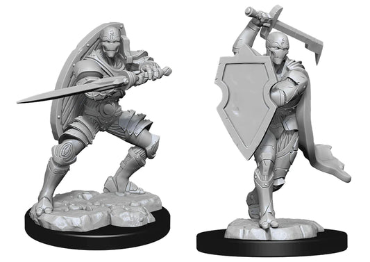 Nolzur's: Warforged Fighter (Male)