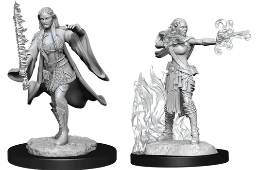 Nolzur's: Multiclass Warlock + Sorcerer (Female)