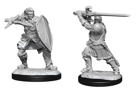 Nolzur's: Human Paladin (Male)