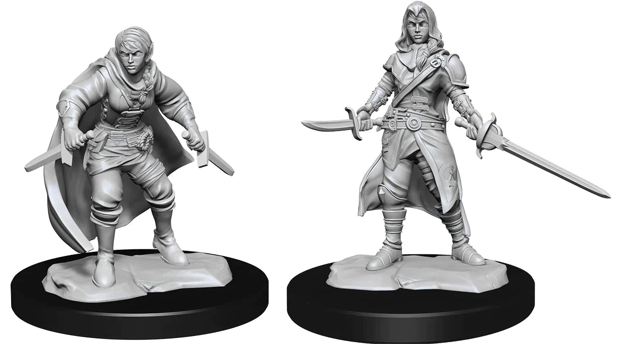 Nolzur's: Half-Elf Rogue (Female)