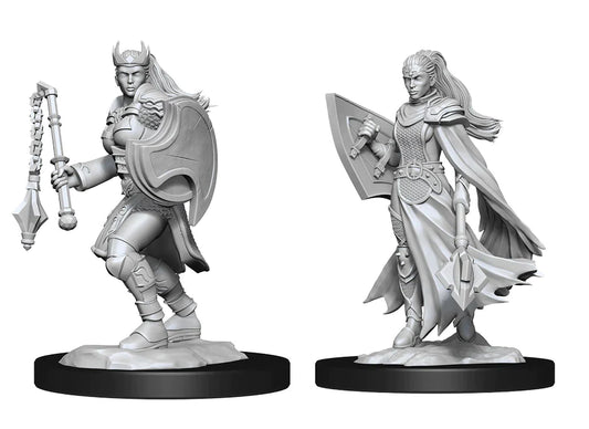 Nolzur's: Kalashtar Cleric (Female)