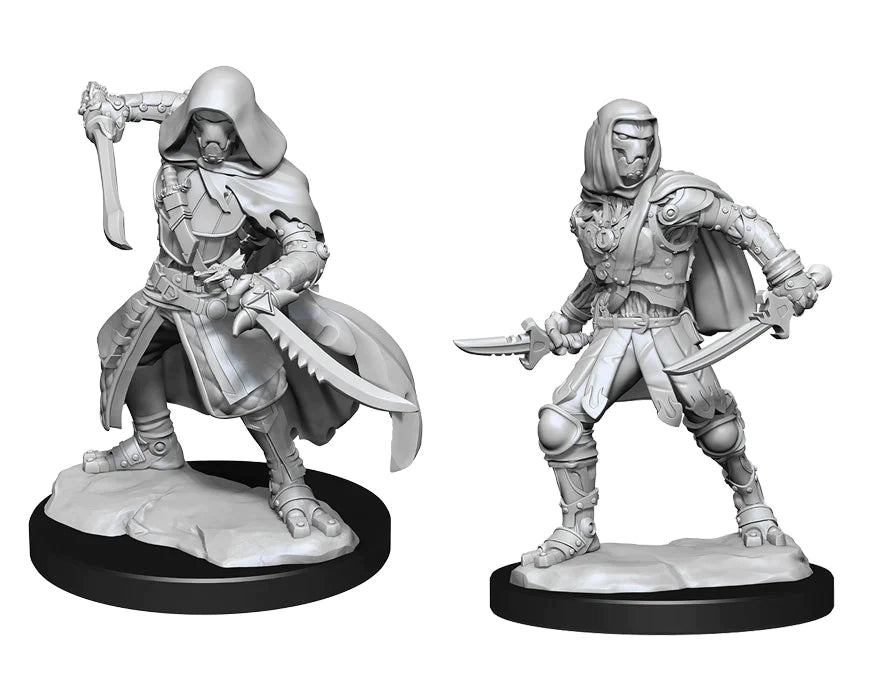 Nolzur's: Warforged Rogue