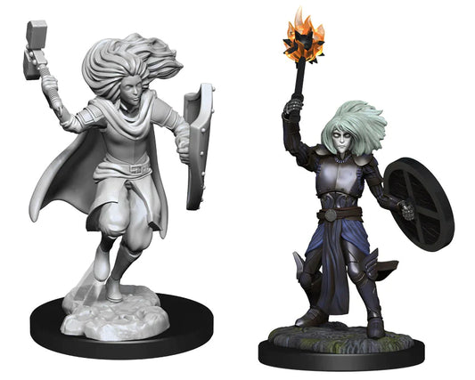 Nolzur's: Changeling Cleric (Male)