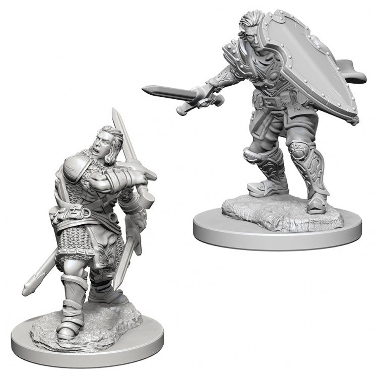 D&D Nolzur’s Marvelous Miniatures: Human Male Paladin