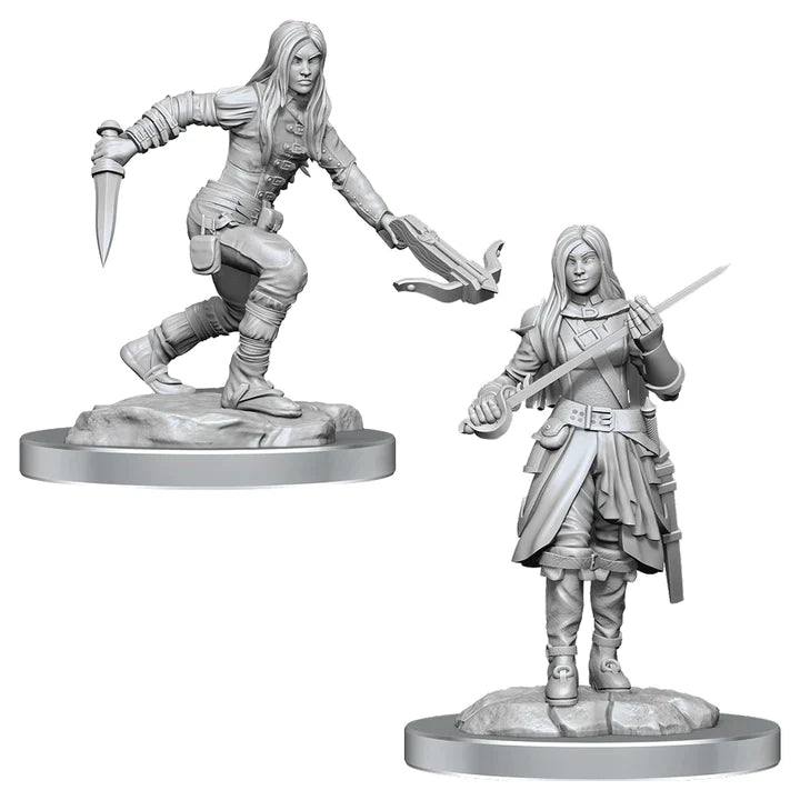 Nolzur's: Half-Elf Rogue (Female)