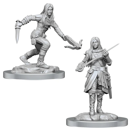 Nolzur's: Half-Elf Rogue (Female)