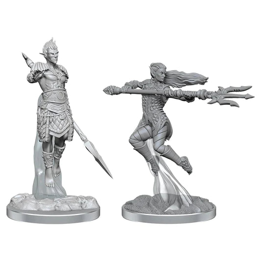 Nolzur's: Sea Elf Fighters