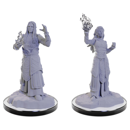 Nolzur's: Elf Wizards